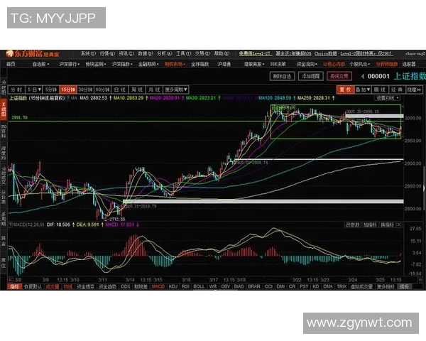广州乒乓球队与上海乒乓球队赛后复盘分析比赛节奏与战术对决 广州乒乓球队与上海乒乓球队赛后复盘分析比赛节奏与战术对决