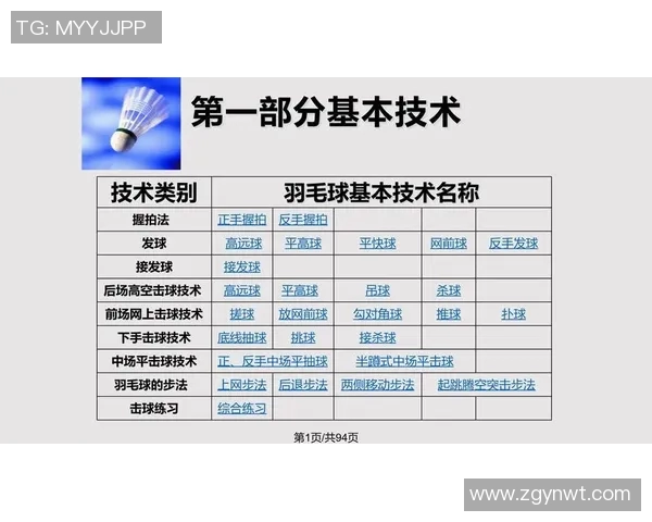 南京羽毛球队整体压制的深度解析与战术揭秘