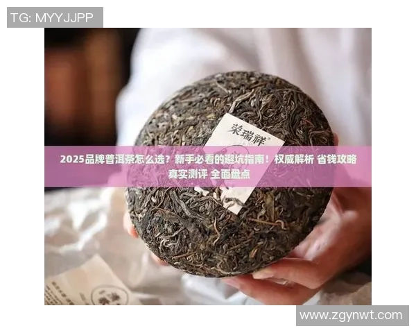 乒乓球新手必看:从基础意识到实战技巧的全面指南 乒乓球新手必看:从基础意识到实战技巧的全面指南