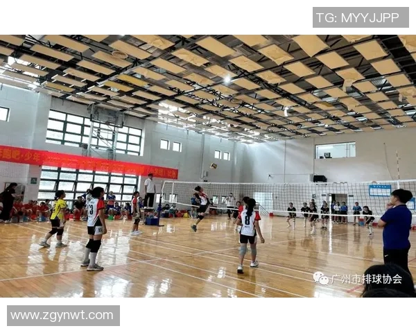 广州排球队技术实力强劲荣登全国排球技术排行榜第五名