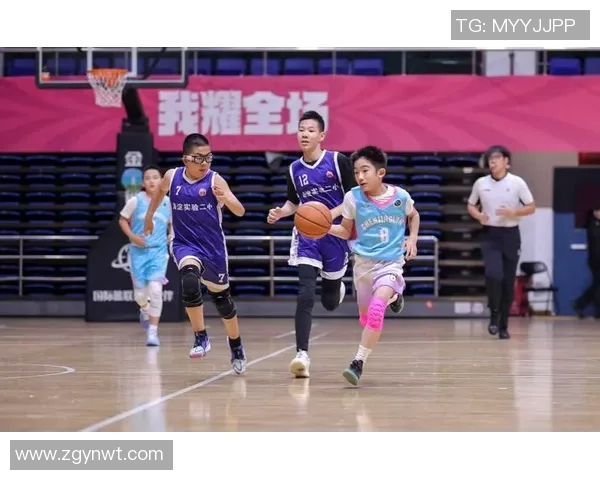 篮球比赛经验排行榜揭晓北京篮球队荣登第六位引发热议