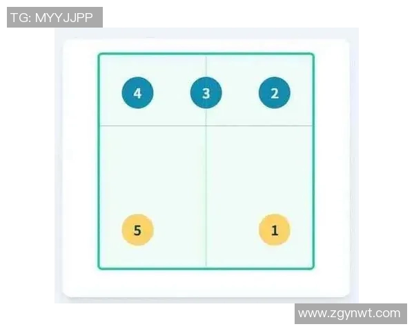 深入分析北京排球队控制打法的战术特点与实践应用
