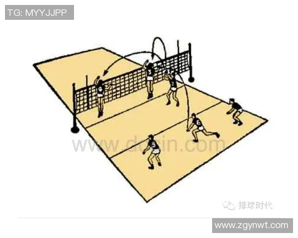 重庆排球队的战术掌控与发展趋势深度分析