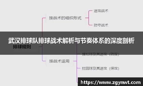 武汉排球队排球战术解析与节奏体系的深度剖析