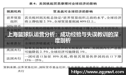 上海篮球队运营分析：成功经验与失误教训的深度剖析