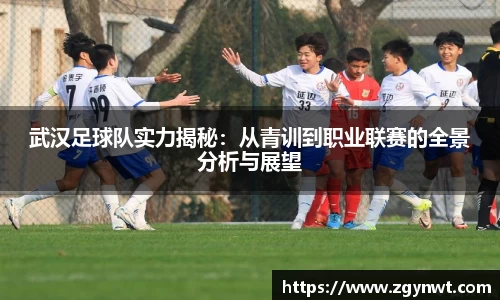 武汉足球队实力揭秘：从青训到职业联赛的全景分析与展望