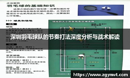 深圳羽毛球队的节奏打法深度分析与战术解读