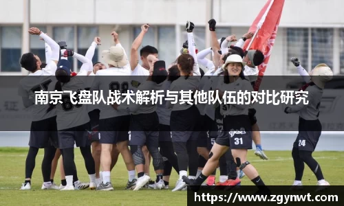 南京飞盘队战术解析与其他队伍的对比研究